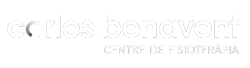 Carles Benavent