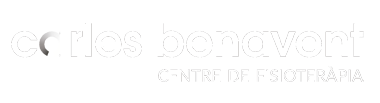 logo carles